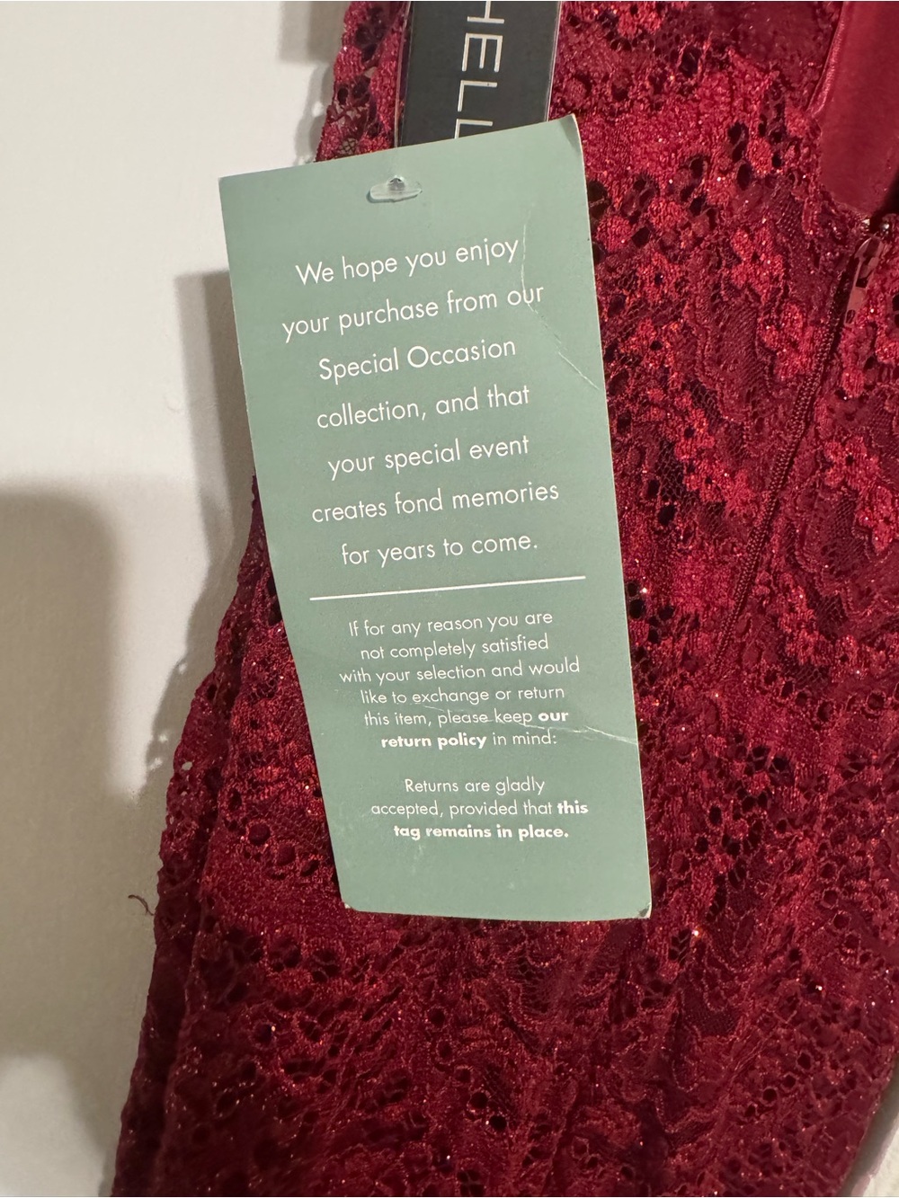 Michele Burgundy Sequin Halter Maxi Dress for prom - Picture 8 of 8